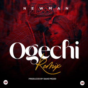 Ogechi Remix