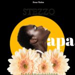 Stezzo Ndineyo – Apa mp3 Download